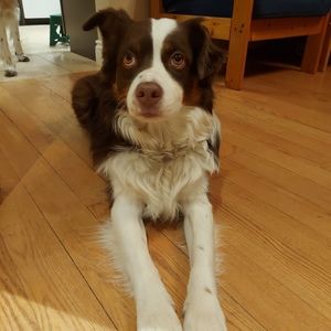 Meet your Posher, Shawn